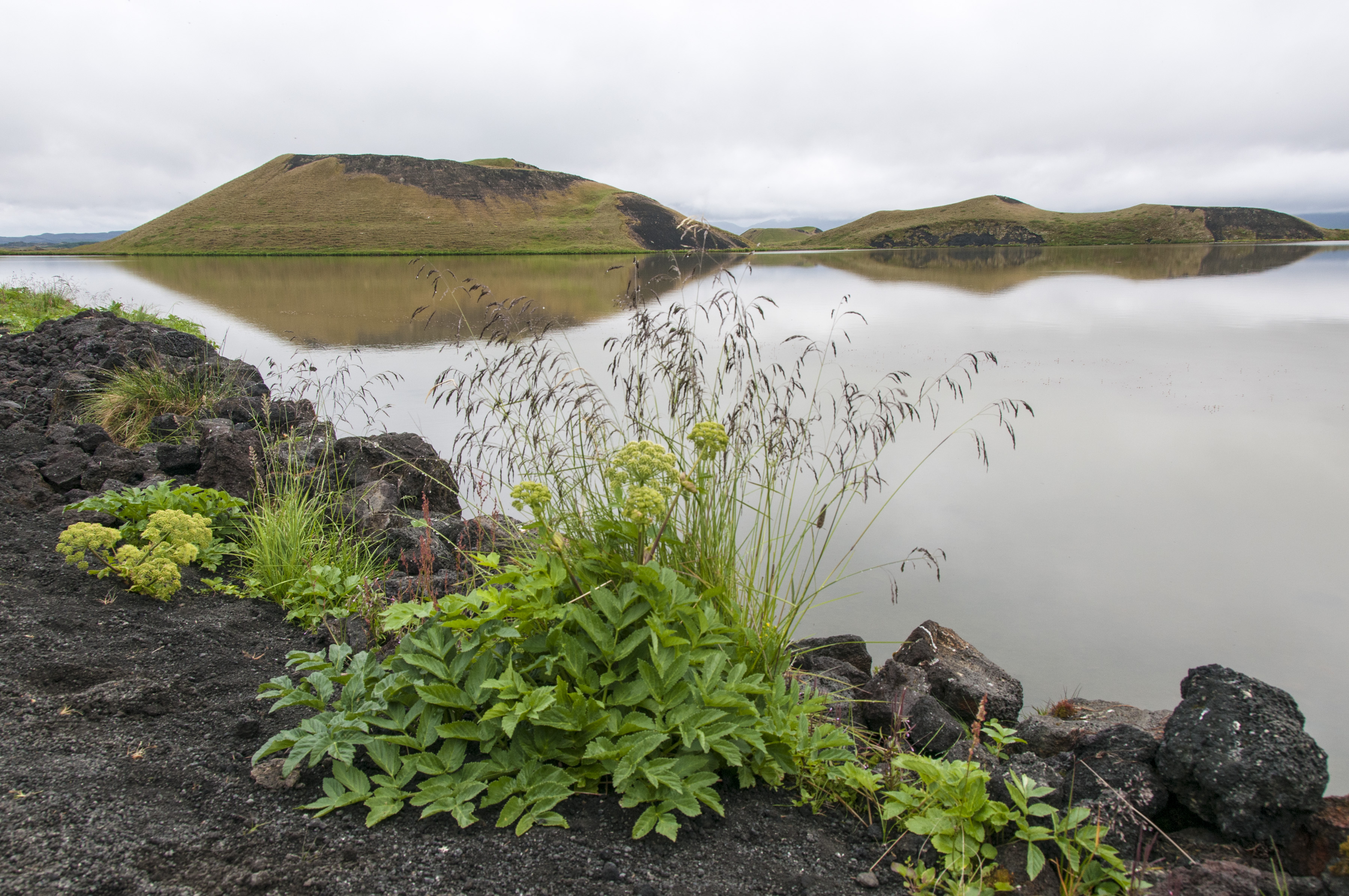Myvatn See